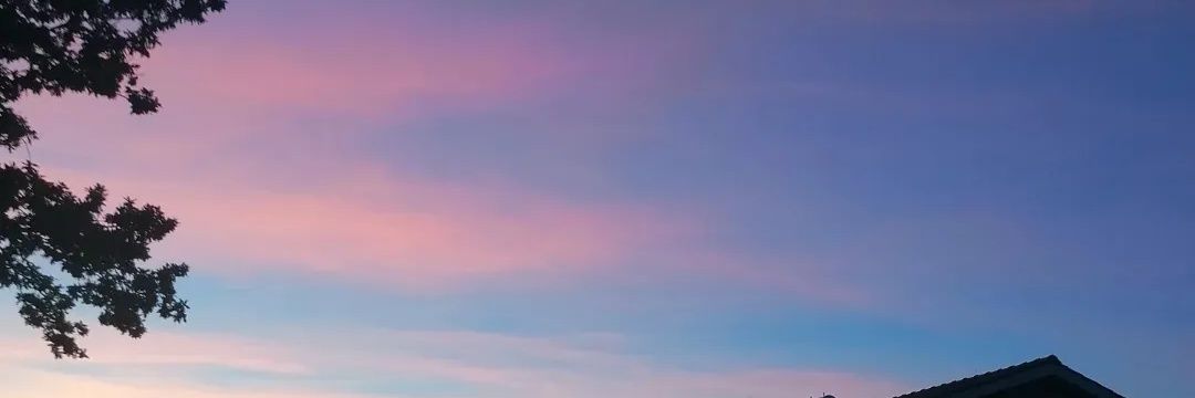 FilipaAmarall's profile banner image