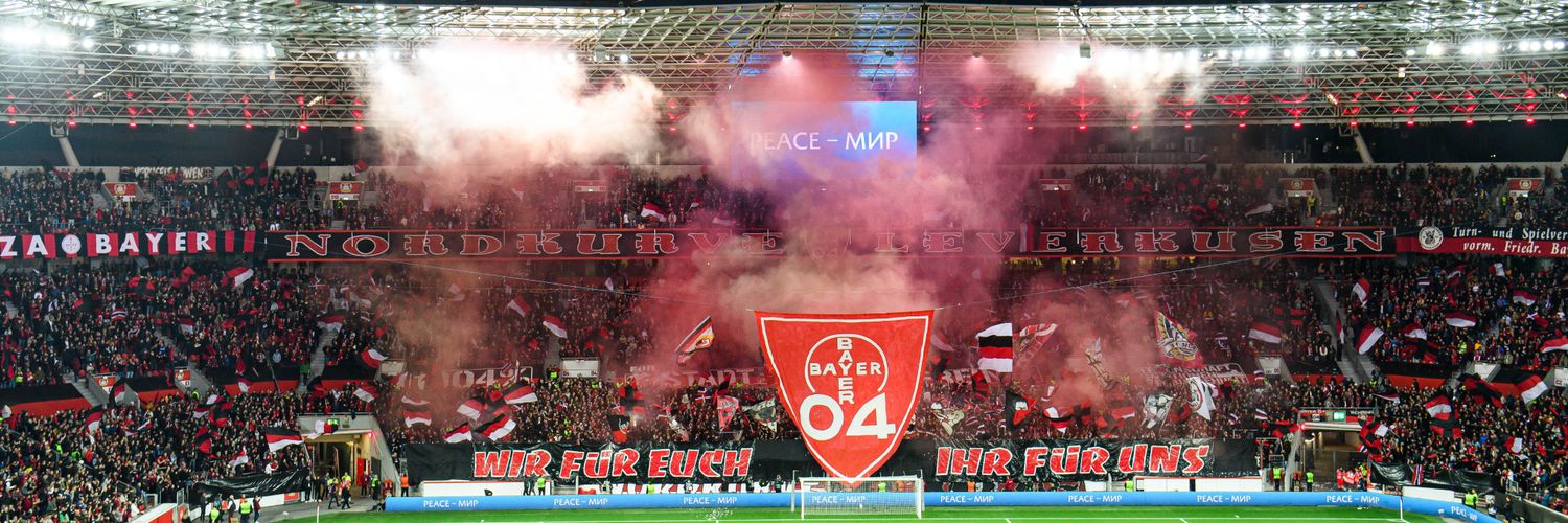 b04_david's profile banner image