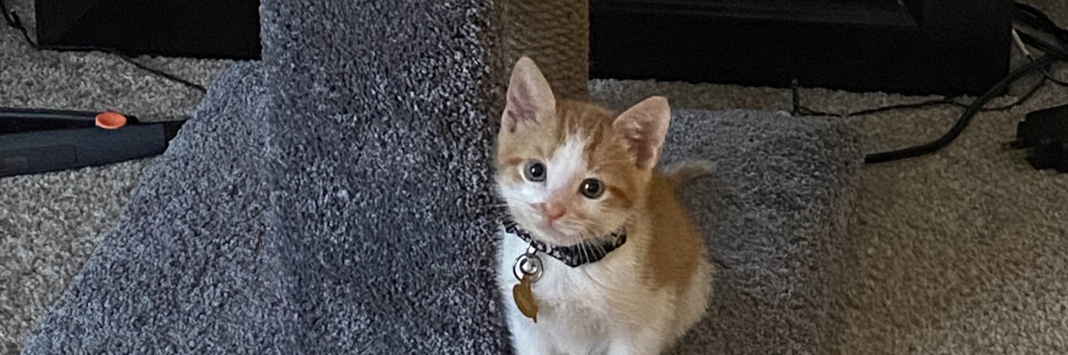 PeachesErGood's profile banner image