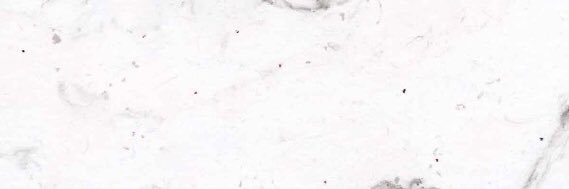 dangreavess's profile banner image