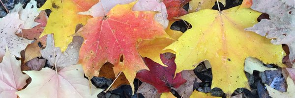 mikevonmassow Profile Banner