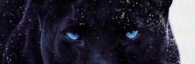 IvelnaT's profile banner image