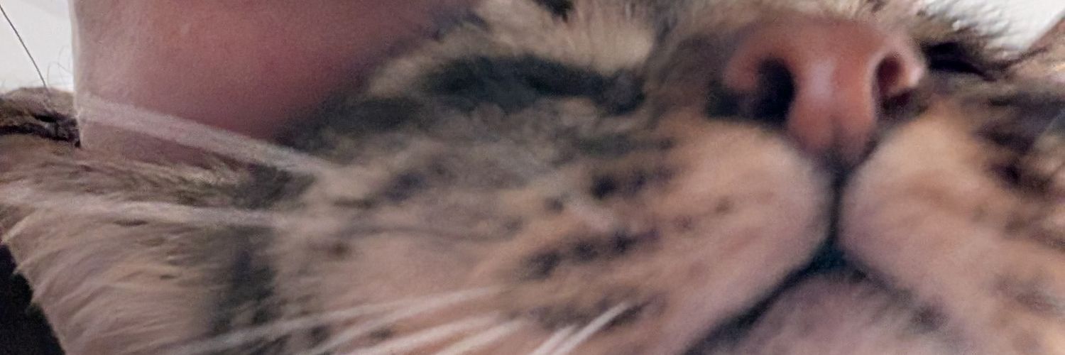 annibanani ◢◤ banner