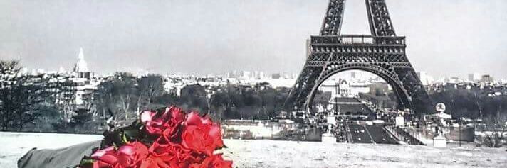 AngyeZapata's profile banner image