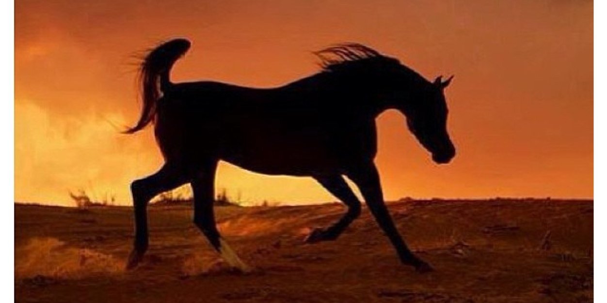 AHMAD_ALSHBLE's profile banner image