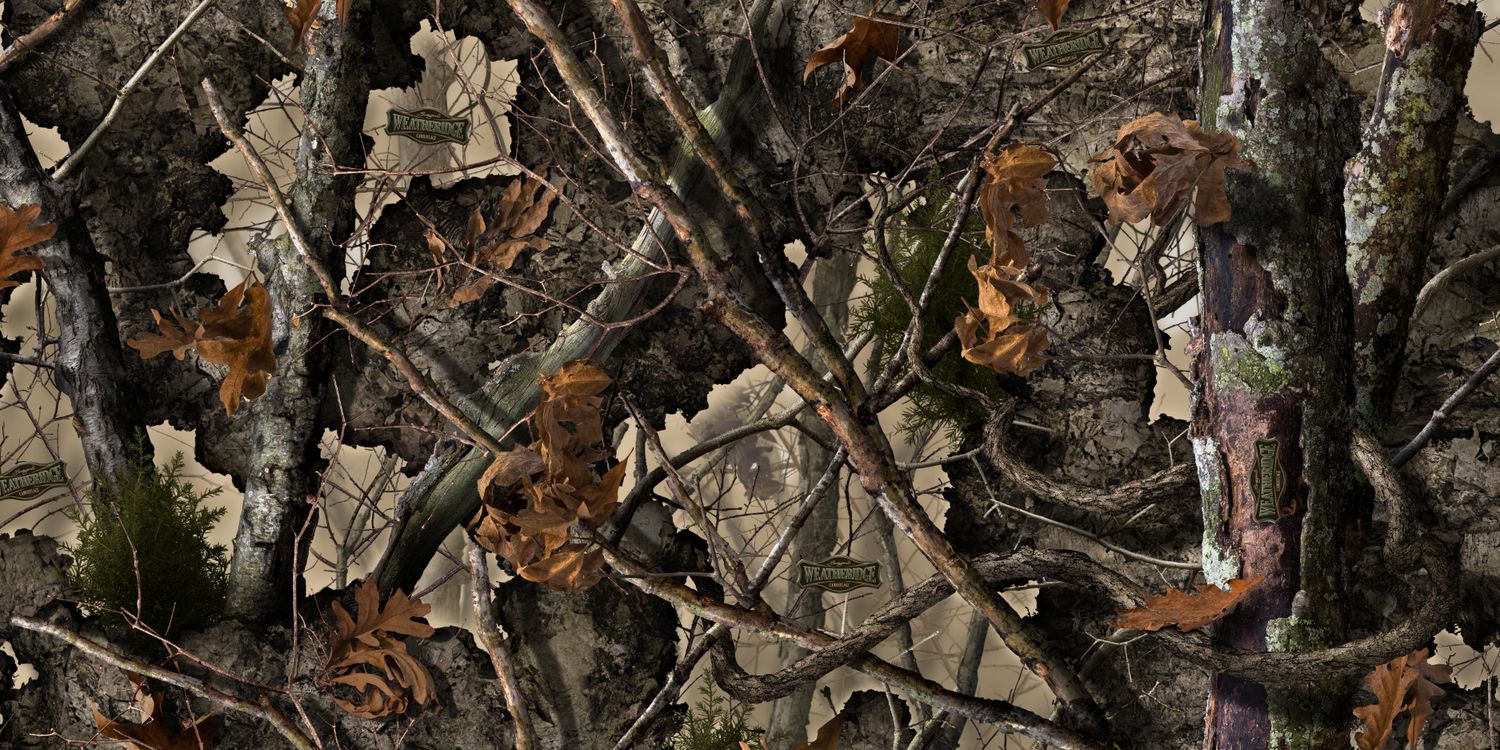 DoeEyedDuck's profile banner image