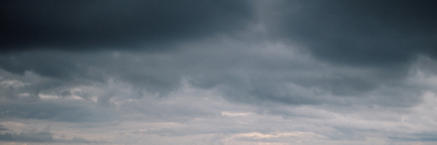 lovestrandell's profile banner image