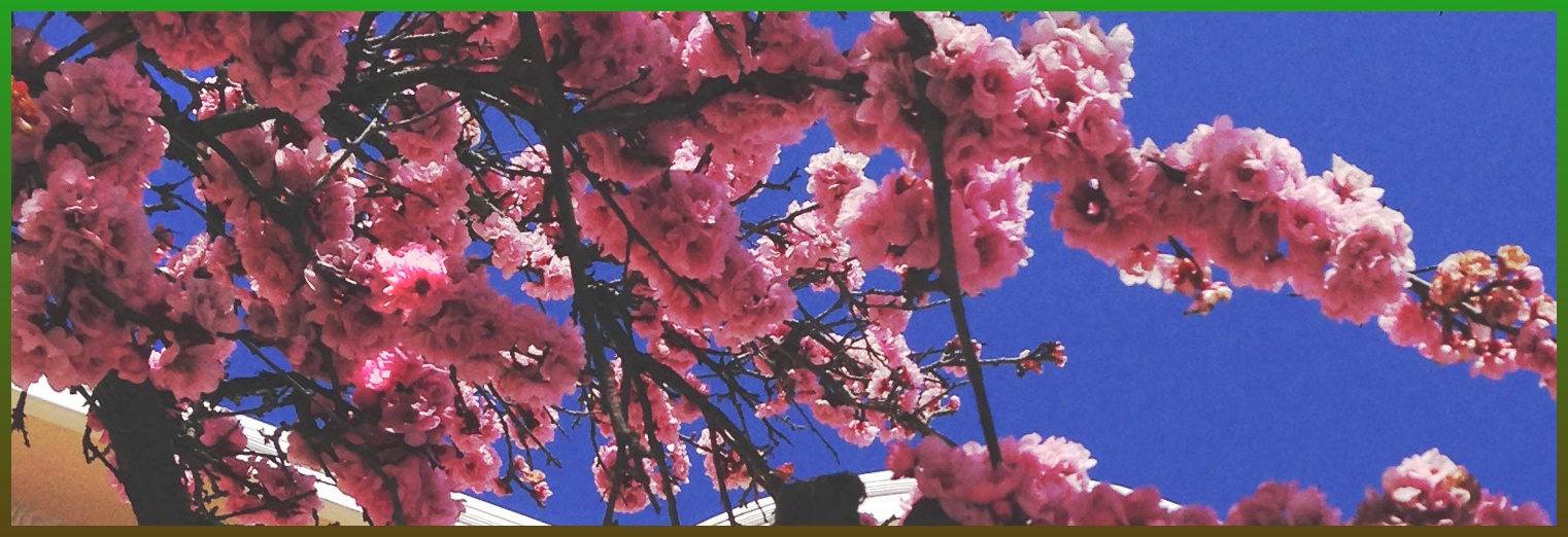 yakeeeliin's profile banner image