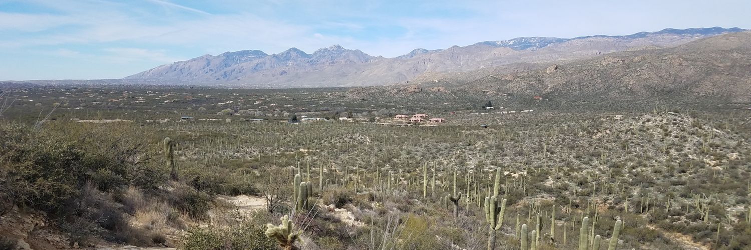 Jnco Jean Genie banner