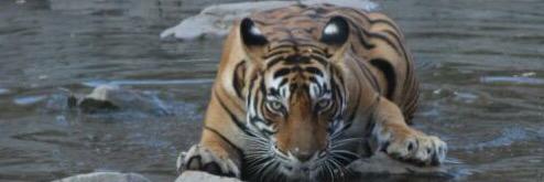 Arpit4347's profile banner image