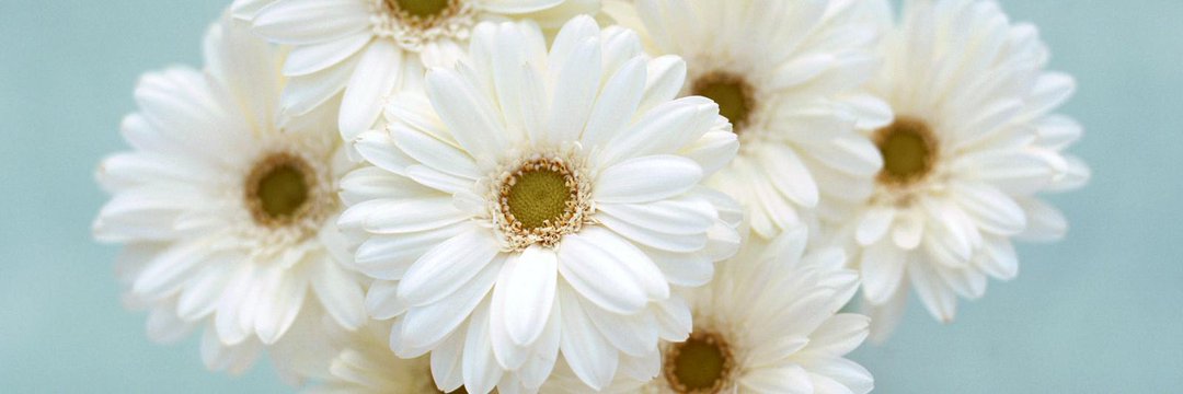 wafa_s33's profile banner image