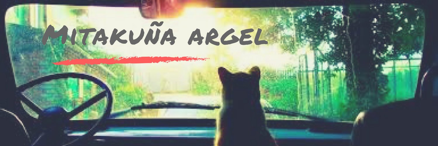 michilujan's profile banner image