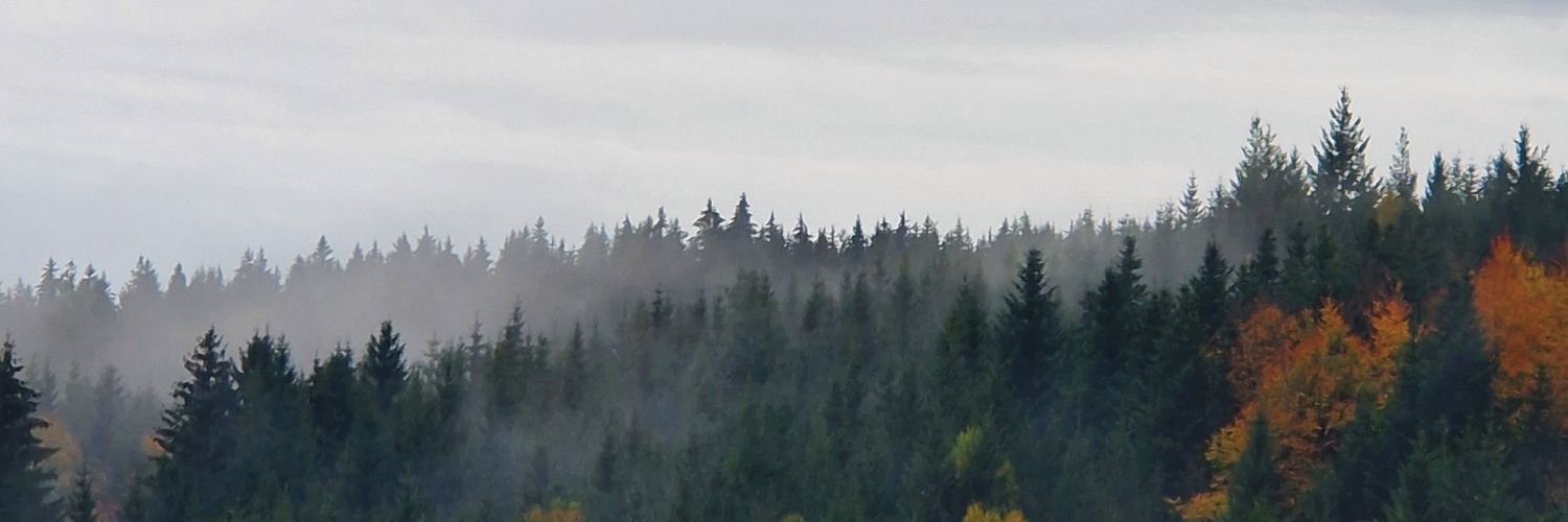 echtlea's profile banner image