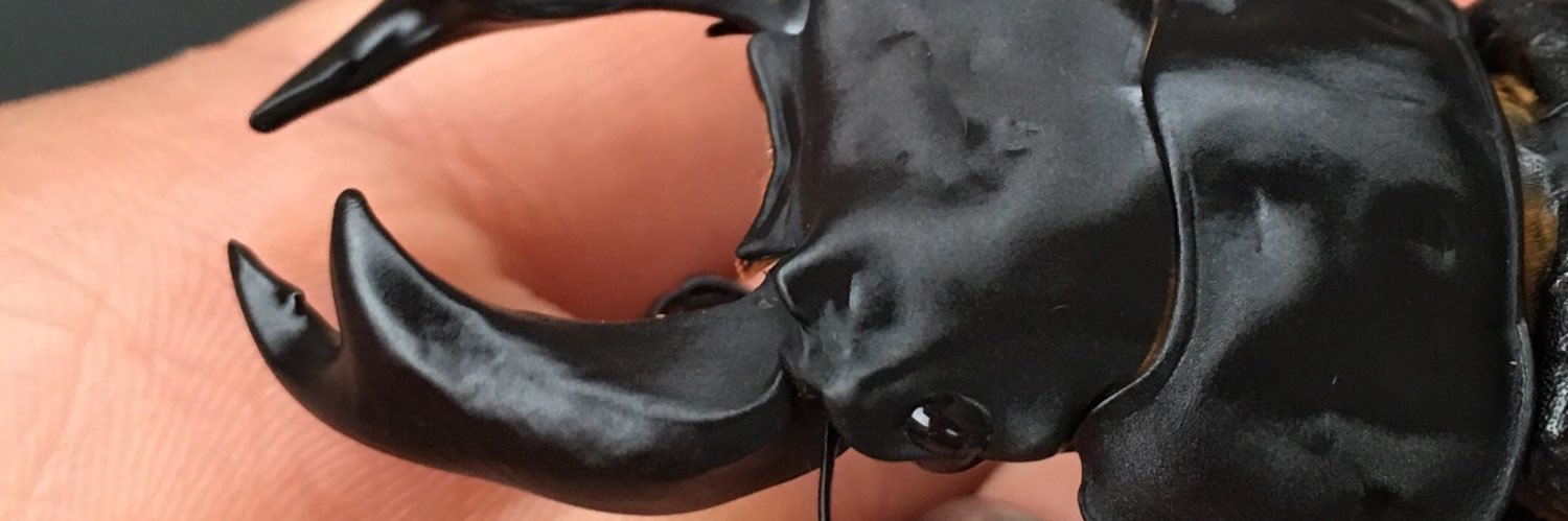 gon_color's profile banner image