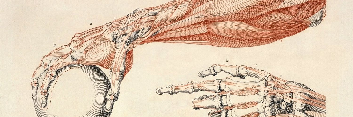 DavidMackeyDPT's profile banner image