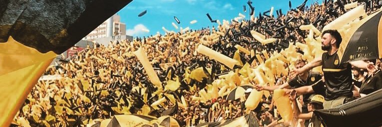 Pata Manya🖤💛#130 banner