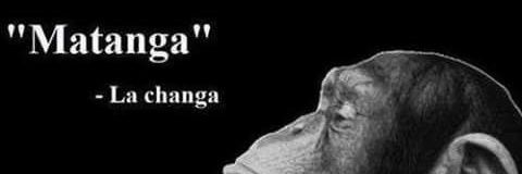 tofisHDF's profile banner image