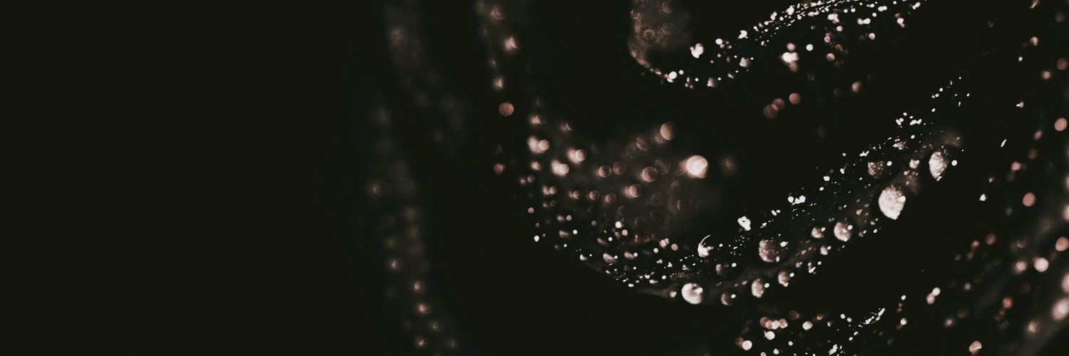 jimimbear's profile banner image