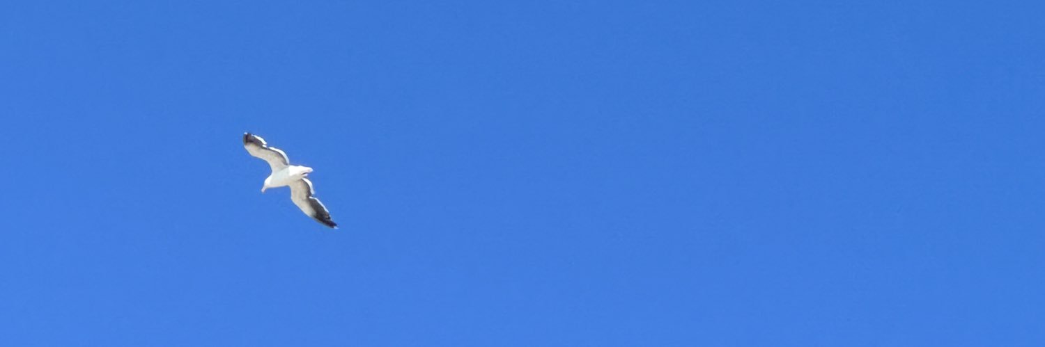 majosrl's profile banner image