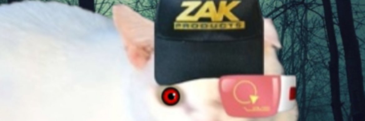 ZakyLloris's profile banner image