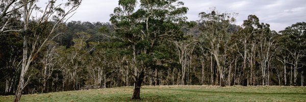 SamWPaquet Profile Banner