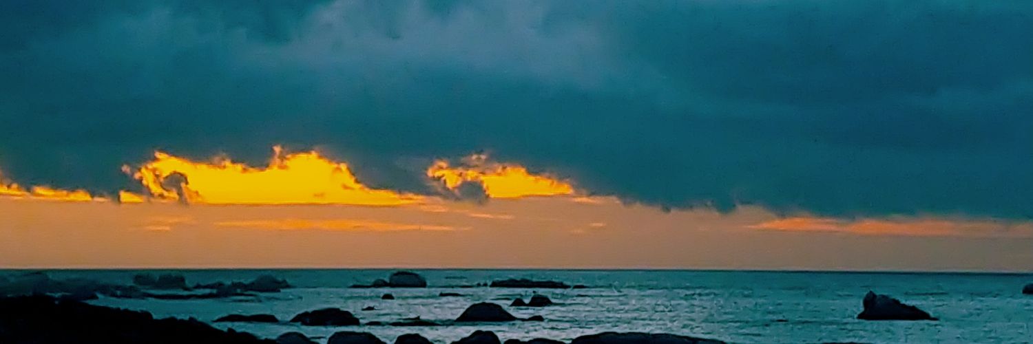 Tauraco's profile banner image