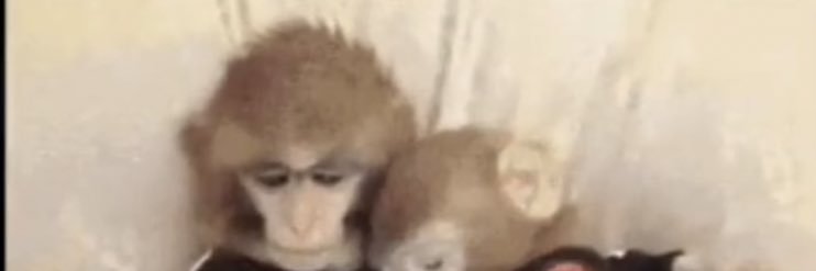 djdequebris's profile banner image