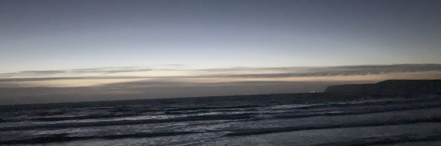 Jessiraptor's profile banner image