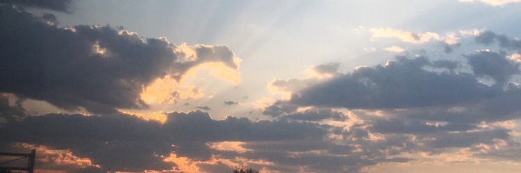 kidd_gracie's profile banner image