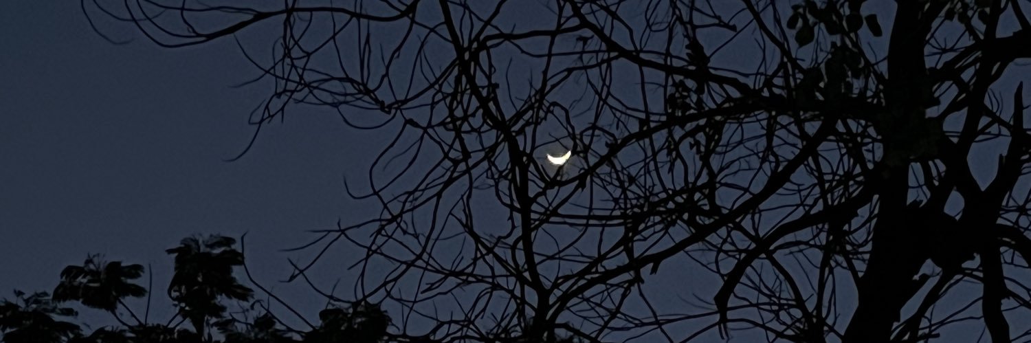 samastdhingra's profile banner image