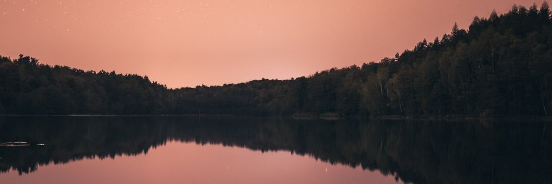 Dpza banner