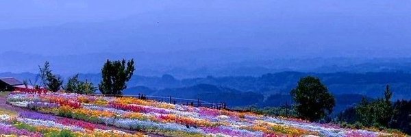 PBoro1118 Profile Banner