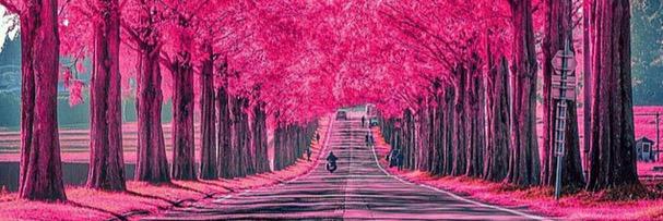 Hammal87's profile banner image