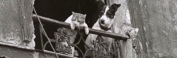 Yesbutfirstcoffee banner