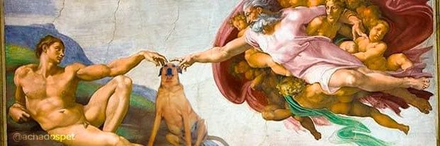 Procura-se cachorro, atende por Leandro banner