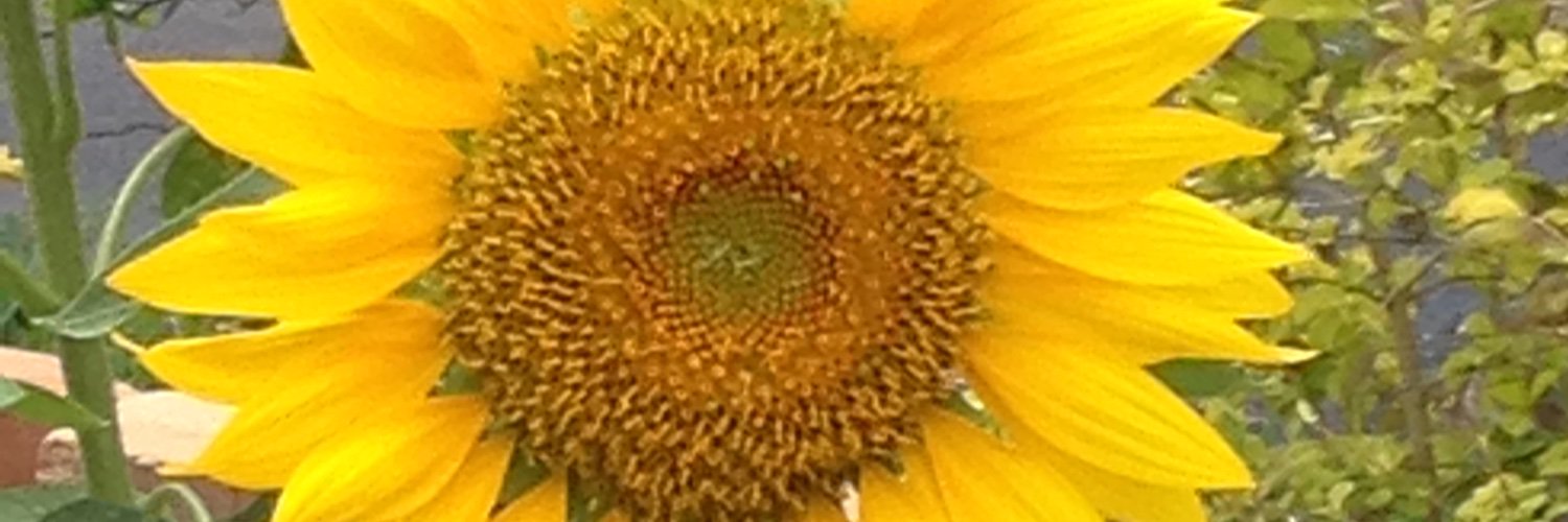 globe_am's profile banner image