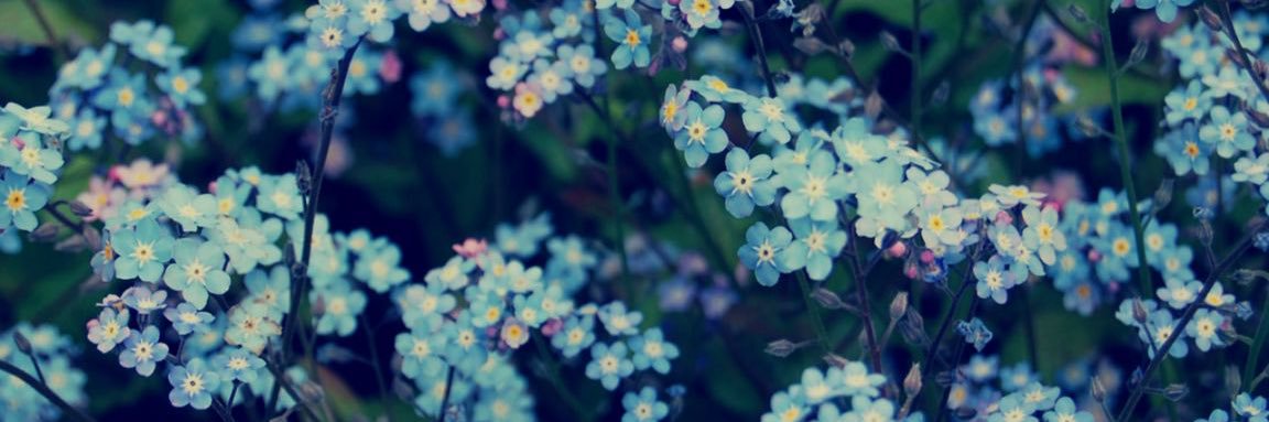roseysweet57's profile banner image