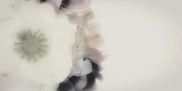 ________15ore's profile banner image