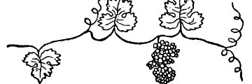 mota_7k's profile banner image