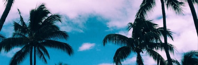 BiroKelsey's profile banner image