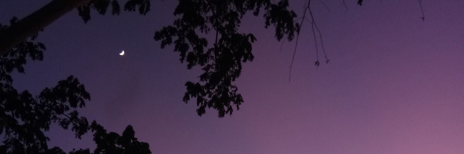 anae26_'s profile banner image