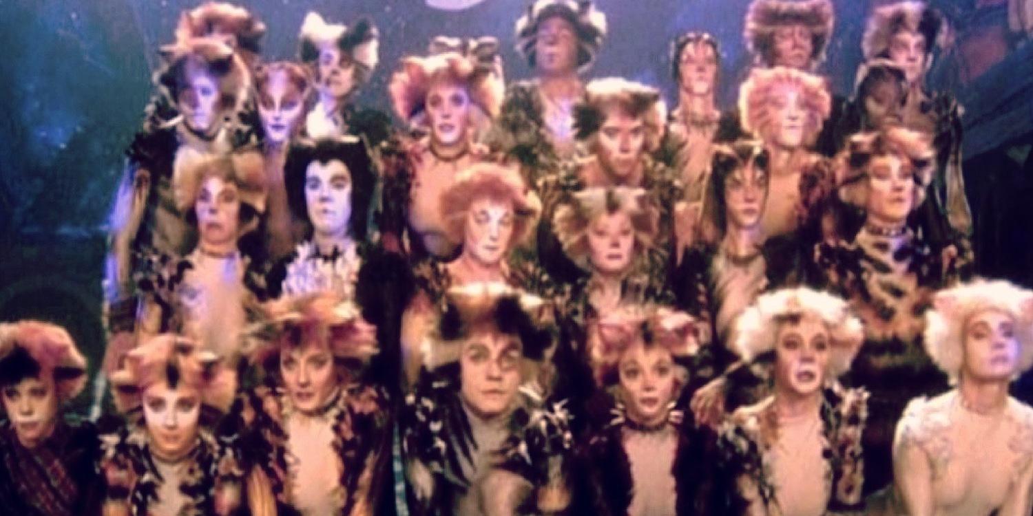 _jelliclecats's profile banner image
