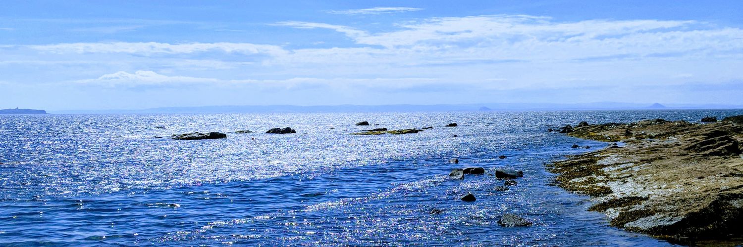 Nishma Patel Robb 💃🏾 banner