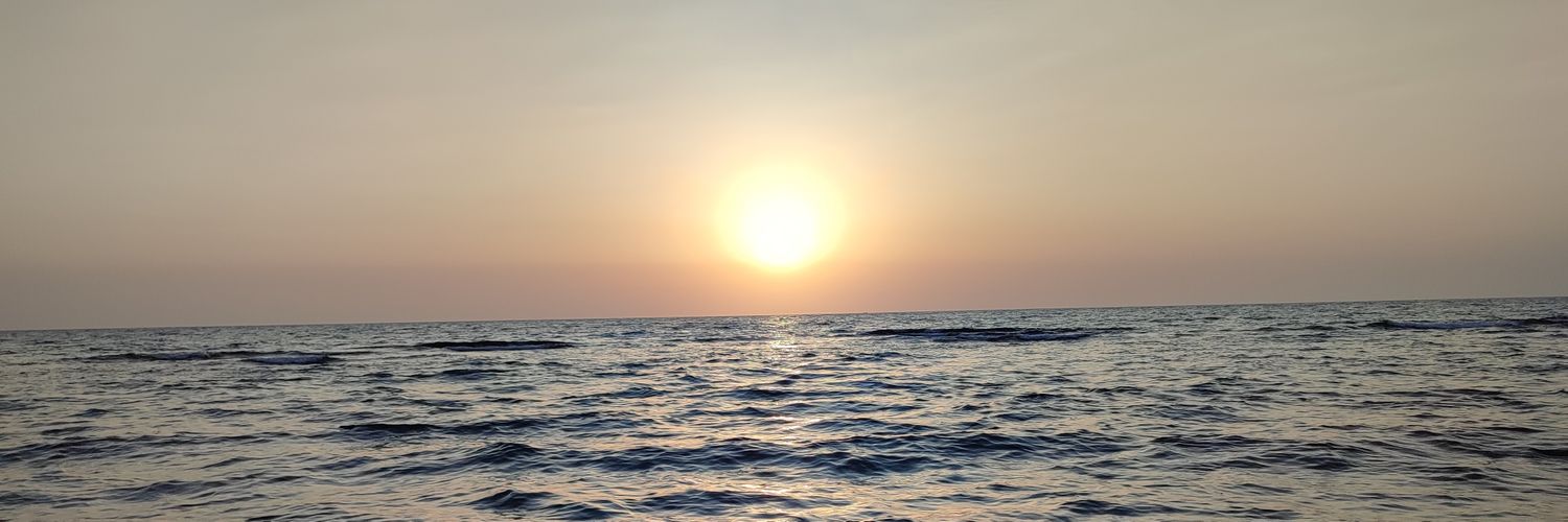 sirphira98's profile banner image