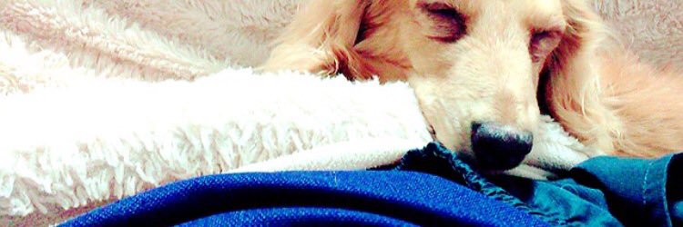 lonaldo0919's profile banner image