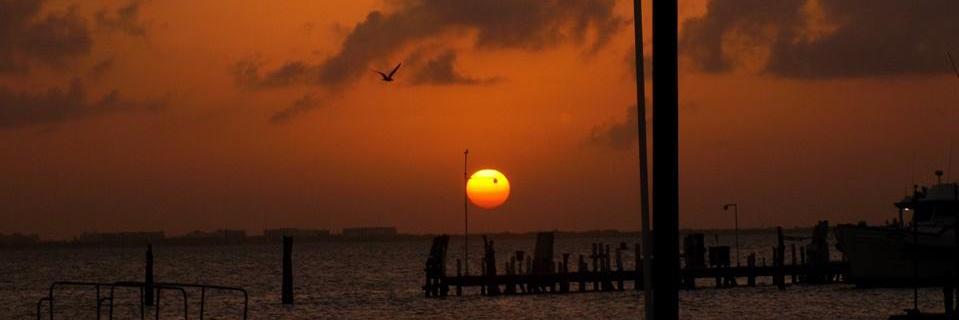 antoasantos's profile banner image