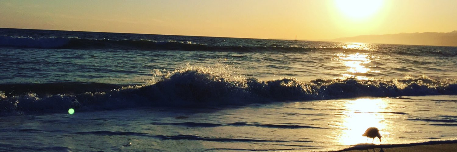 AmeliaCMW's profile banner image