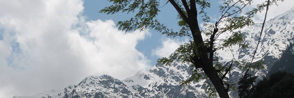 AyeshaRaooo's profile banner image