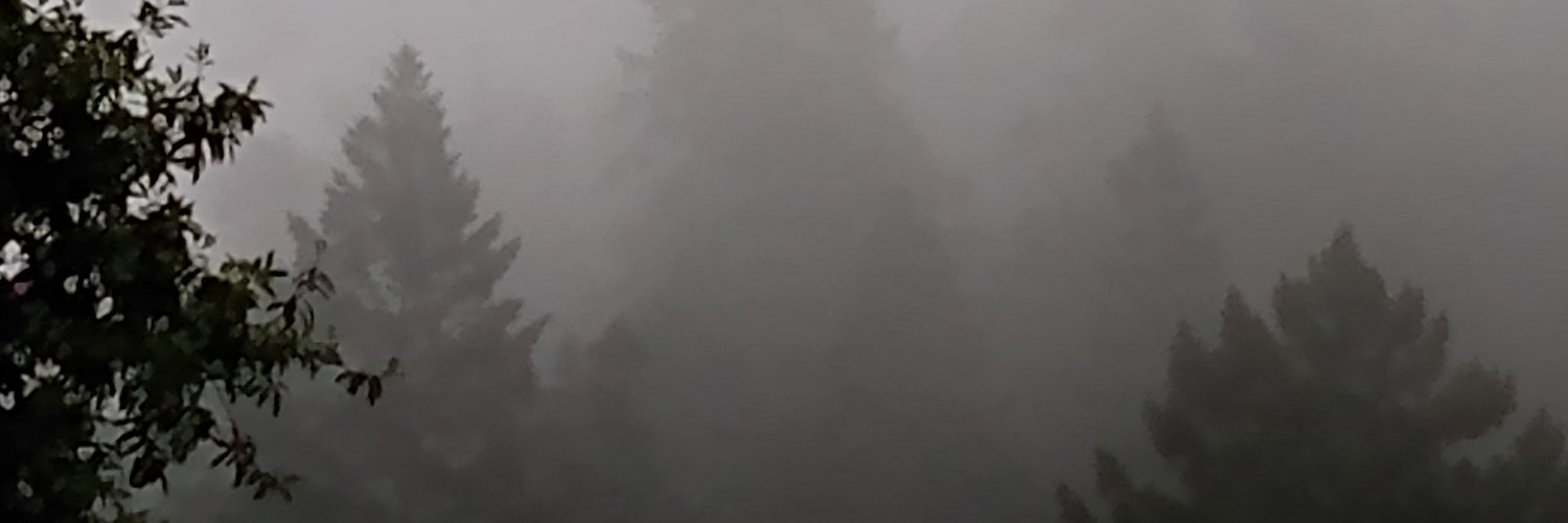 debarruel's profile banner image