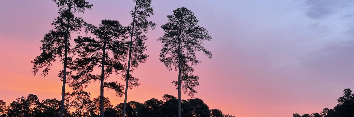 EliInman24's profile banner image